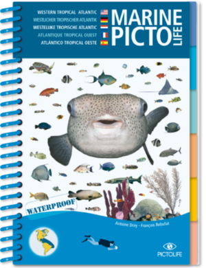 TSK Shop Freizeit Bücher Pictolife Tropische Atlantische Marine