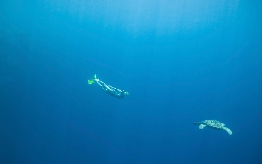 PADI snorkeling lesson