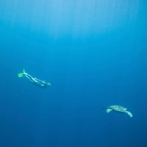 PADI snorkeling lesson