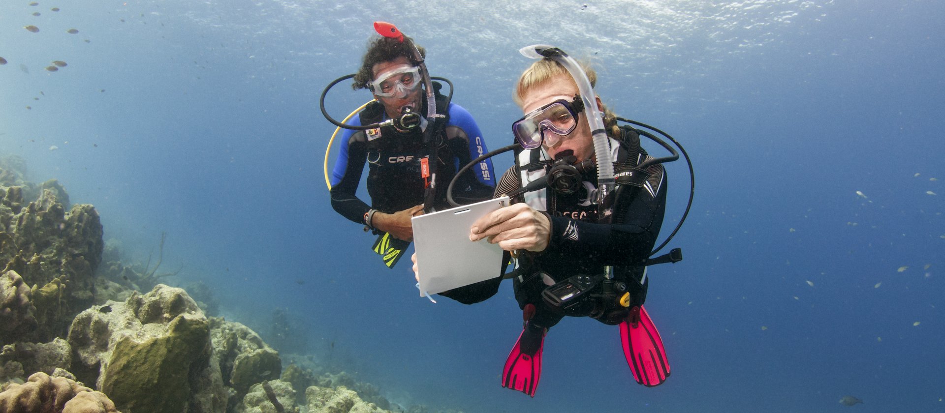 [Translate to English:] PADI IDC Staff Instructor