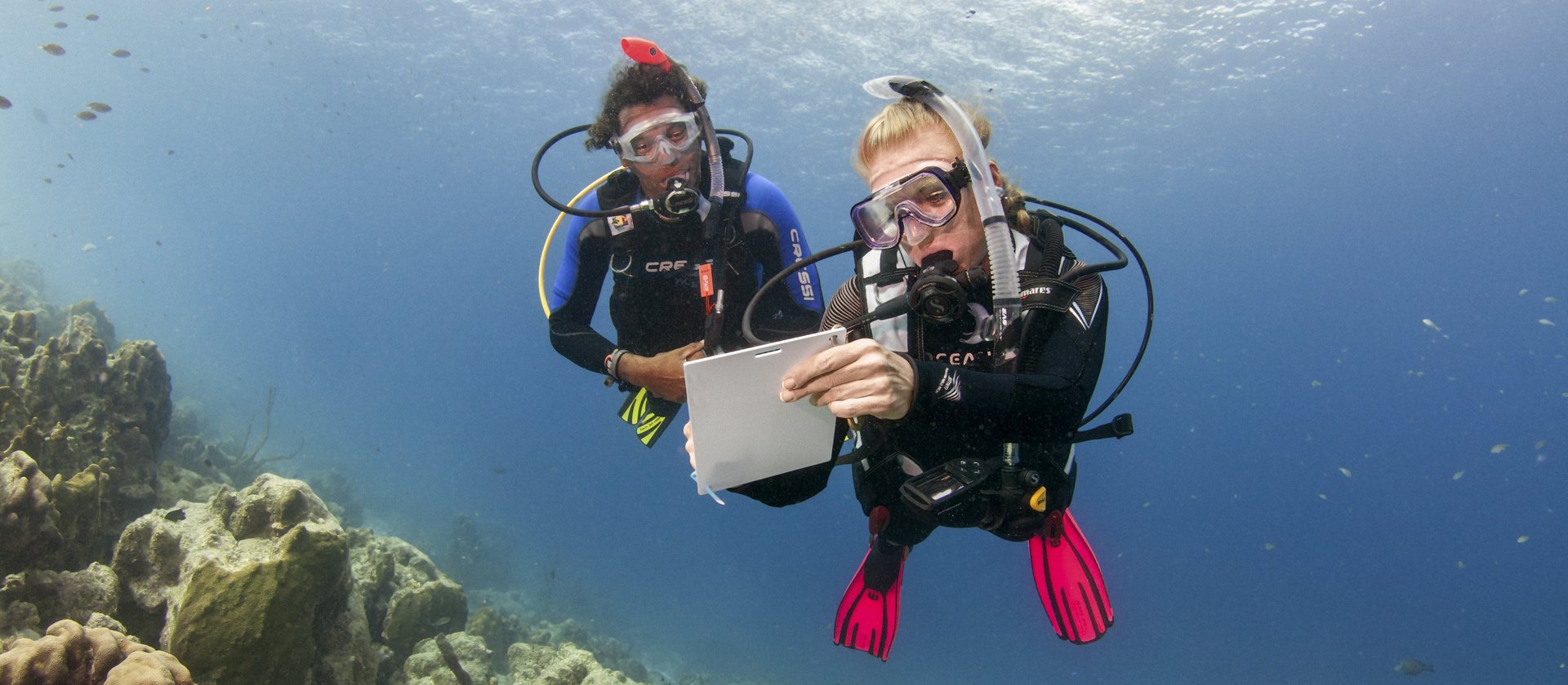 PADI IDC Staff Instructor