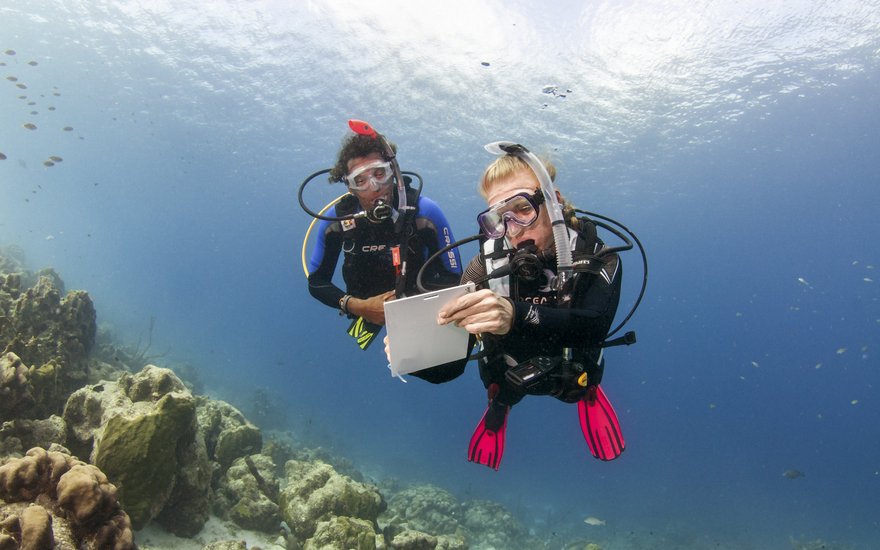 PADI IDC Staff Instructor