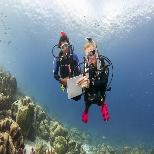 [Translate to English:] PADI IDC Staff Instructor