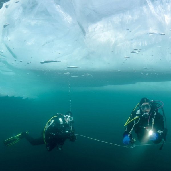 PADI Ice Diving