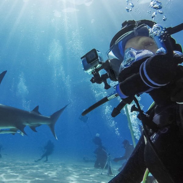 PADI GoPro User