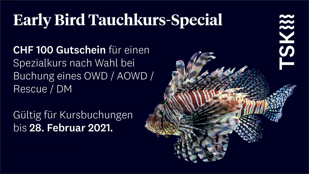 TSK-Buche-jetzt-deinen-Tauchkurs