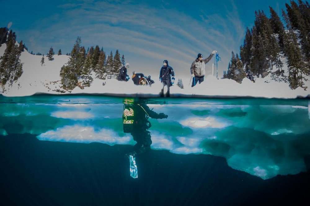 TSK Tauchreise in Antarktis Taucher unterwasser