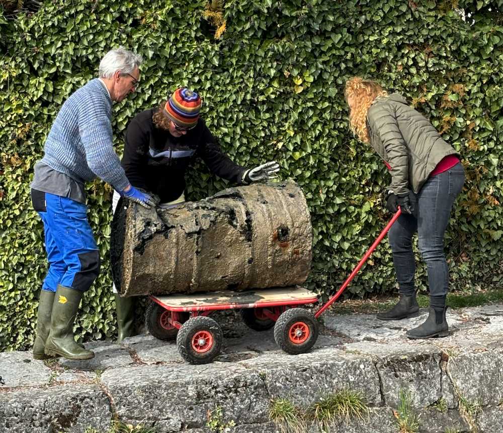 Clean up Thunersee