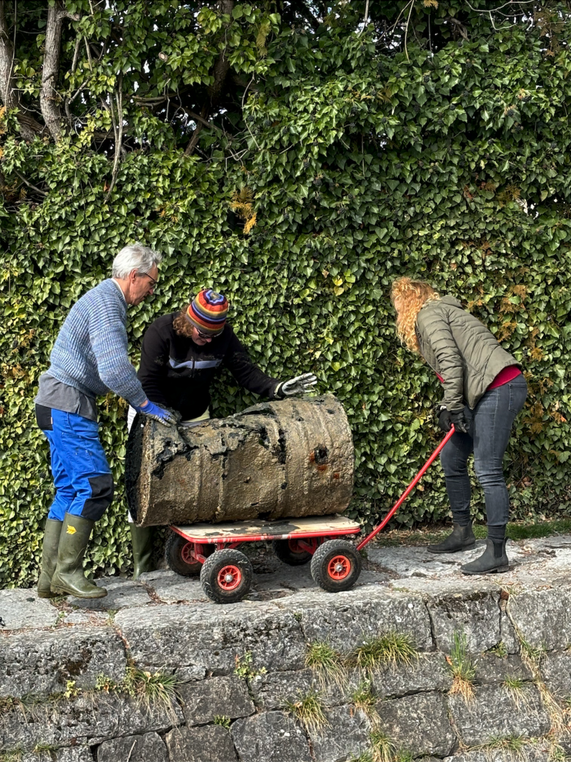 Clean up Thunersee