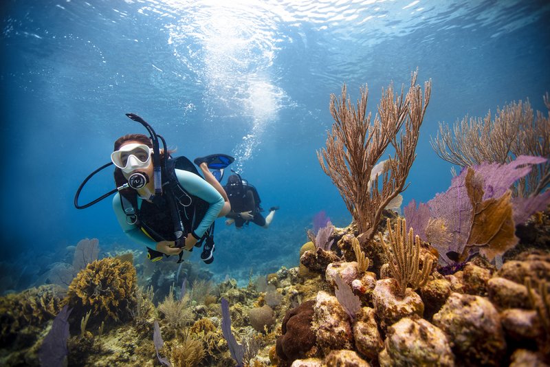 Erlerne die Freiheit unter Wasser