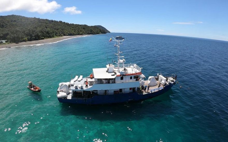 Tauchsafari nach Malpelo Kolumbien