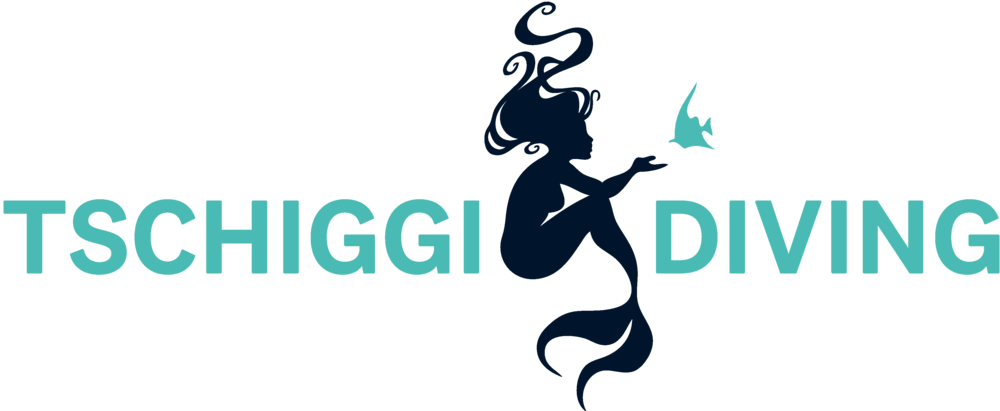 TSK Tschiggi Diving Logo