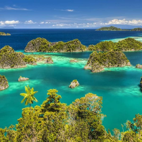 Insel Landschaft in Raja Ampat
