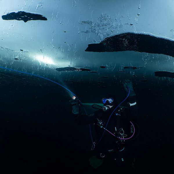 PADI Eistauchen