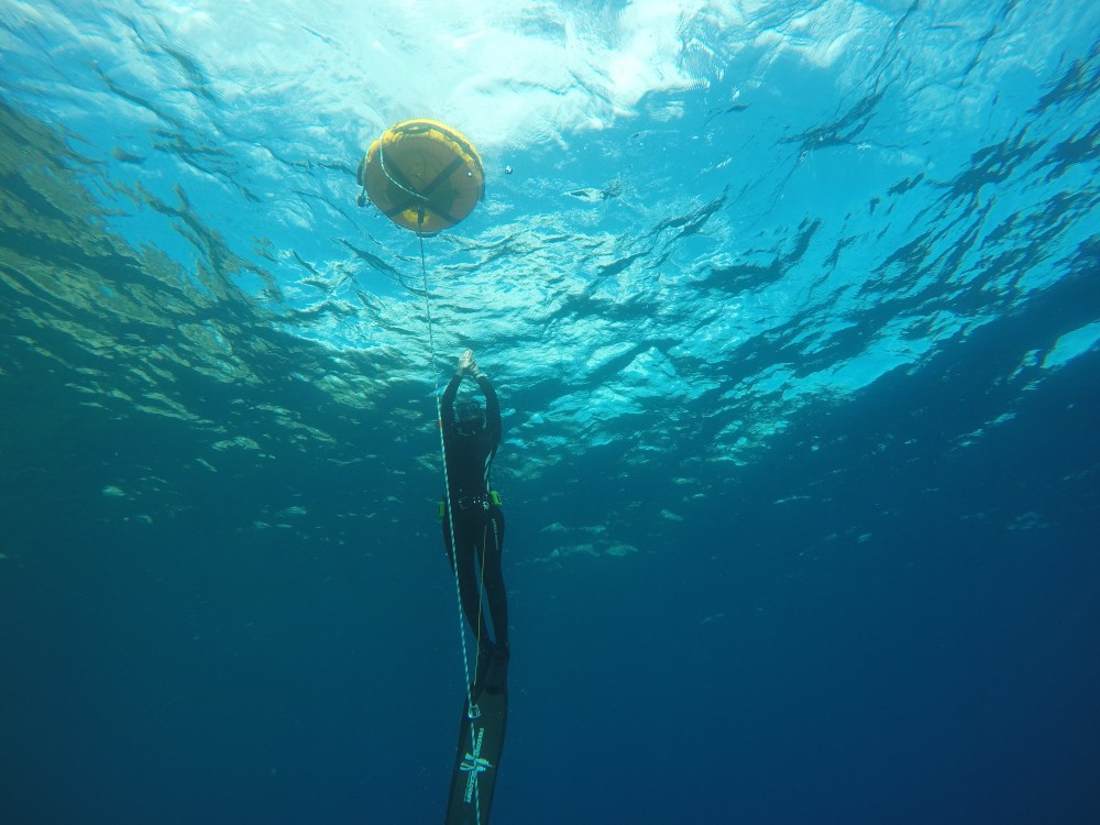 TSK Tauchreise in Elba Freedive Woche Taucher an Wasseroberfläche